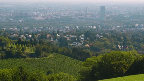 View-over-Vienna-city-during-summer-times