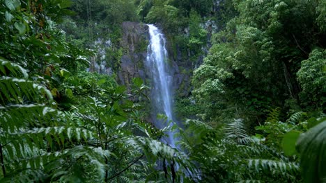 Cascada-En-El-Paraíso-Tropical,-Maui