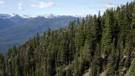 Enthüllung-Der-Waldausdehnung-In-Whistler,-Kanada