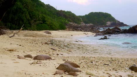 Shoreline-of-Cousin-Island,-Seychelles