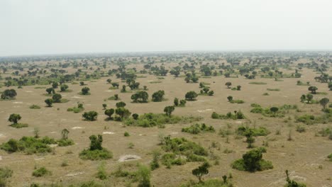 Jeeps-De-Safari-Conducen-A-Través-De-Vastas-Llanuras-De-Sabana-En-áfrica,-Uganda