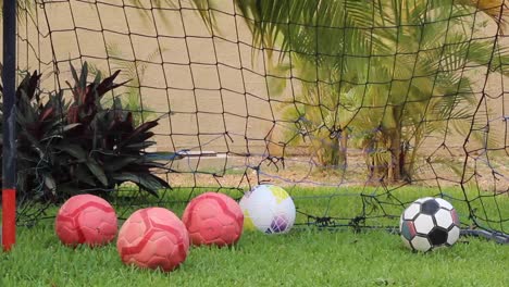 Soccer-balls-resting-on-the-grass