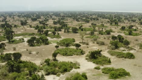 The-Queen-Elizabeth-National-Park-in-Uganda,-Africa-with-vast-plains-full-of-trees-and-desert
