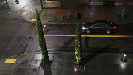 Gray-Car-Stops-At-The-Intersection-Of-The-Street-At-Night-With-Two-Cypress-Trees-On-The-Sidewalk
