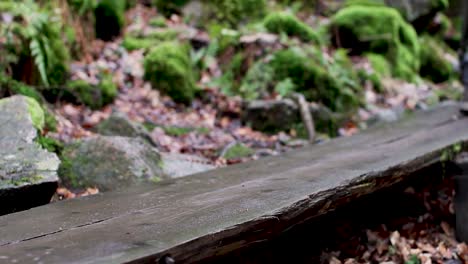 Close-Up-of-a-backpackers-Shoes-Walking-over-a-small-Bridge-in-Nature-on-a-Bright-and-Humid-Day