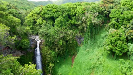 Amazing-waterfall-from-air,-Maui-Rainforest-in-Hawaii