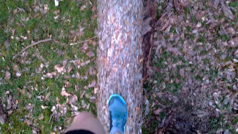 Balancing-and-walking-on-a-fallen-tree,-first-person-point-of-view-on-blue-running-shoes,-grass-covered-ground