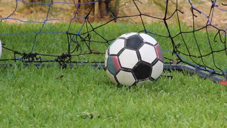 Lonely-soccer-ball-in-the-grass