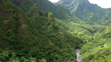 Valle-De-La-Montaña-Del-Oeste-De-Maui,-Hawai
