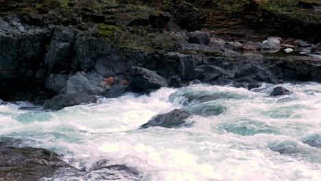 Flussverengung-Vor-Großem-Wasserfall