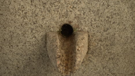 Close-up-of-A-Water-Fountain