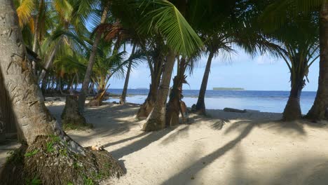 Zwischen-Palmen-Am-Superweißen-Sandstrand-In-Der-Karibik