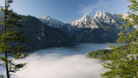 Flight-through-Trees-over-foggy-Austrian-Lake---Drone