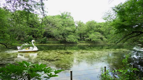 Parque-Kichijoji-En-Tokio,-Japón-Se-Llena-De-Colores-En-Verano