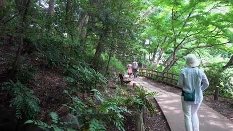 In-early-summer,-it-is-common-to-take-long-walks-through-the-parks-of-Tokyo,-in-the-shade-and-freshness-of-its-trees