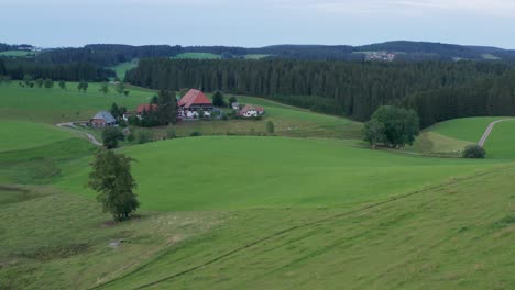 Idyllic-cinematic-Farmhouse-at-the-black-forest-from-the-SWR-"Die-Fallers"-with-meadow-with-a-tree-and-fir-trees-wood-forest-aerial-drone-panorama-slow-approached-shot