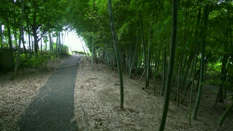 In-Vielen-Bambuswäldern-In-Japan-Wird-Normalerweise-Ein-Magischer-Pfad-Nachgezeichnet,-Um-Innezuhalten-Und-Die-Schönheit-Des-Ortes-Zu-Betrachten-Und-Der-Musik-Zu-Lauschen,-Die-Der-Wind-Mit-Seinen-Blättern-Macht