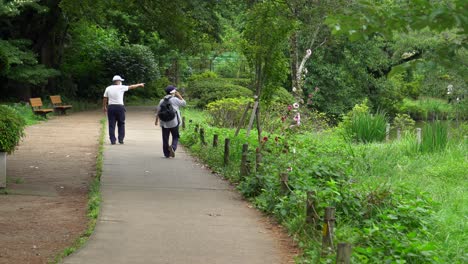 In-Zempukuji-Park,-in-Tokyo,-Japan-it-is-very-common-to-see-older-people-strolling-accompanied-by-their-partners,-on-their-walks-they-always-stop-to-contemplate-part-of-the-landscape-and-animal-life