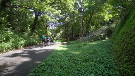 Near-Lake-Tanaka-in-Tokyo,-Japan,-there-is-a-large-park-that-in-summer-fills-with-intense-green-and-is-ideal-for-walking-as-a-couple-and-doing-sports