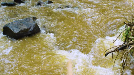 Fast-flowing-golden-river-through-rainforest-with-rocks-and-fast-current