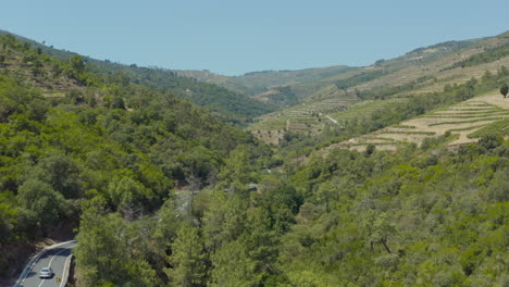 A-beautiful-landscape-of-Wine-Plantations