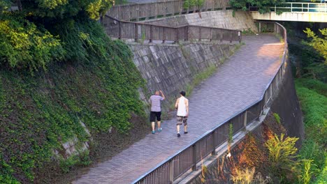 Ein-Sehr-Guter-Plan-Für-Heiße-Sommertage-In-Tokio-Ist-Es,-Am-Nachmittag-Spazieren-Zu-Gehen-Und-Sich-Zu-Bewegen-Und-Dabei-Die-Frische-Luft-Und-Den-Schatten-Der-Bäume-Zu-Genießen