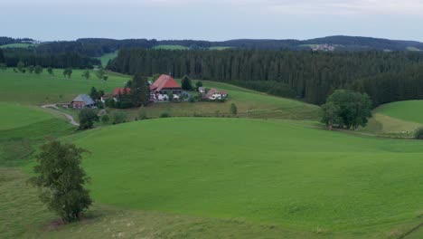 Idyllic-cinematic-Farmhouse-at-the-black-forest-from-the-SWR-"Die-Fallers"-with-meadow-with-a-tree-and-fir-trees-wood-forest-aerial-drone-panorama-slow-approached-shot