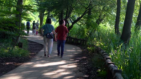 Im-Sommer-Ist-Der-Shakujii-Park-In-Tokio-Aufgrund-Seiner-Ruhe-Und-Seines-Kühlen-Klimas-Bei-Sonnenuntergang-Ein-Idealer-Ort-Für-Einen-Spaziergang-Mit-Dem-Partner