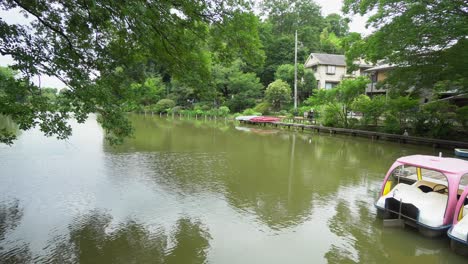 En-El-Parque-Zenpukuji-En-Tokio,-Hay-Un-Lago-Muy-Grande-Donde-Puedes-Alquilar-Y-Navegar-Botes-Para-El-Paseo-Familiar