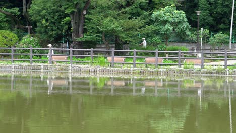 En-El-Parque-Zempukuji-En-Tokio,-Japón,-Hay-Muchos-Senderos-Diferentes-Donde-La-Gente-Suele-Dar-Largos-Paseos,-Solos-O-En-Parejas