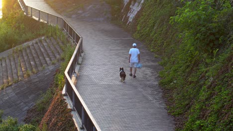 In-the-summers-of-Japan,-many-people-go-for-a-walk-with-their-pets,-the-afternoon-is-the-ideal-time-since-the-heat-is-much-less-intense