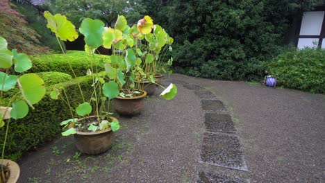 Many-Buddhist-temples-in-Tokyo-have-specially-designed-paths-for-the-entrance-to-the-compound-and-are-usually-surrounded-by-plants