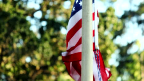 Amerikanische-Flagge-Weht-Im-Wind-Mit-Bokeh-Bäumen-Im-Hintergrund