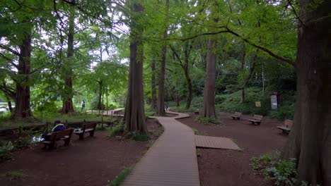 Der-Shakujii-Park-In-Tokio-Hat-Einen-Großen-Holzpfad,-Auf-Dem-Man-Durch-Den-Gesamten-Park-Gehen-Kann-Und-Im-Sommer-Viele-Menschen-Dort-Spazieren-Gehen-Können