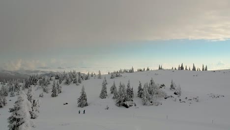 Zwei-Leute,-Die-Im-Winter-Auf-Der-Verschneiten-Landschaft-Mit-Schneebedeckten-Kiefern-In-Slowenien-Spazieren---Absteigende-Drohnenaufnahme