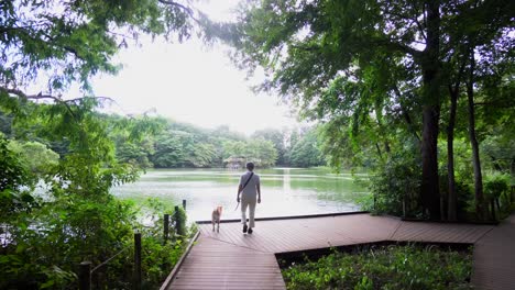 Many-people-in-summer-walk-with-their-pets-through-the-parks-of-Tokyo