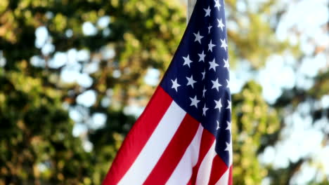 American-USA-National-Flag-With-Trees-On-Backdrop