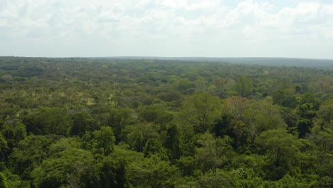 Vast-African-wilderness-with-dense-woodland-and-huge-ecosystem