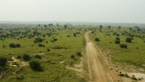 On-safari-in-African-savannah-in-Uganda