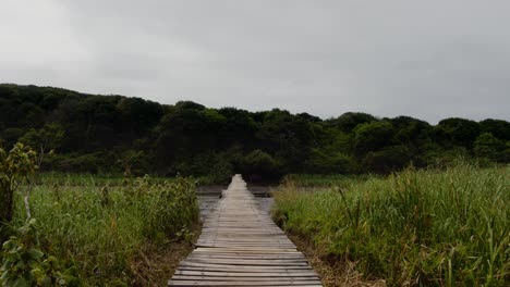 A-slow-walk-down-a-wooden-bridge-through-a-wetland
