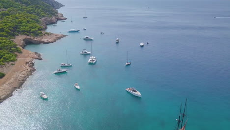 Ascending-drone-shot-of-moored-yachts-and-catamarans-on-a-beautiful-bay-with-many-green-trees