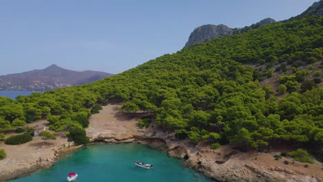 Ascending-drone-shot-of-moored-yachts-and-catamarans-on-a-beautiful-bay-with-many-green-trees