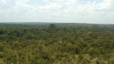 Dense-African-bushes-and-trees-in-epic-Murchison-Falls-National-Park