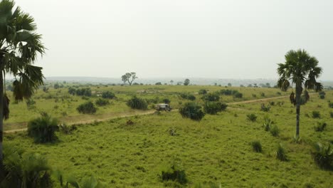 Conducción-De-Automóviles-A-Lo-Largo-De-Un-Camino-De-Tierra-En-Un-Safari-En-África-Volando-Entre-árboles