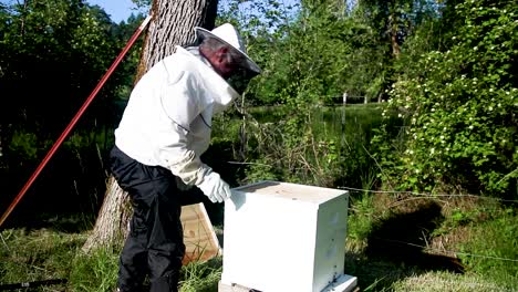 Schließen-Des-Bienenstocks-Auf-Einem-Neuen-Bienenkasten