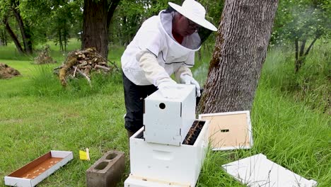 Finalizing-bee-box-setup-and-transporting-bees-to-a-new-home