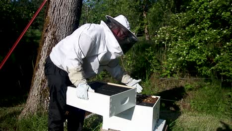 Adding-an-expansion-bee-box-without-squishing-any-bees