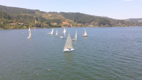 AERIAL---Sailboats-during-a-regatta-in-Lake-Vichuquen,-Chile,-static-wide-shot