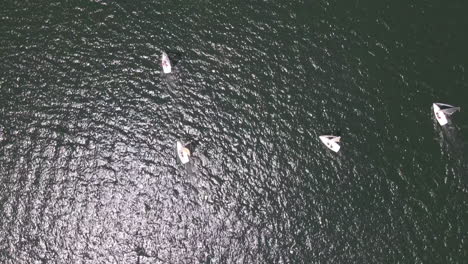 AERIAL---Sailboats-during-a-regatta-in-Lake-Vichuquen,-Chile,-wide-shot-top-down