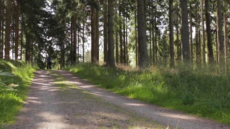 Man-Enjoying-a-Wonderful-Bike-Ride-on-a-Gravel-Road-through-The-Sunny-Forest